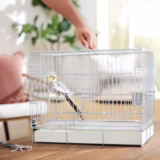 Top 10 Best Bird Cages of 2026